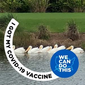 Meet your Posher, Jan